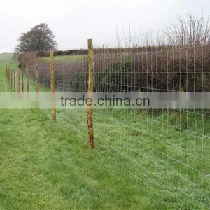 Direct Factory Cheap Commercial Playground Fence thumbnail-5