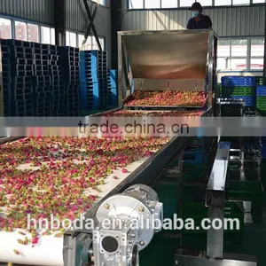 Mesh Machine Type and New Condition Mesh Belt Dryer thumbnail-5