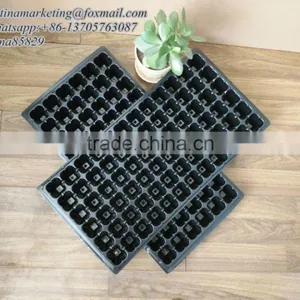China Manufactory Black Plastic Vegetable Nursery Seed Starting Tray With 72 Cell Rooting Plugs Ready to Plant Seed Tray thumbnail-4