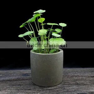 Simple Style Indoor and Outdoor Concrete Planter Concrete Flower Pot thumbnail-1