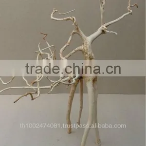 Natural Roots For Aquarium Decoration thumbnail-1