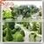 High Imitation Artificial Landscaping Grass Ornamental Grasses Garden thumbnail-1