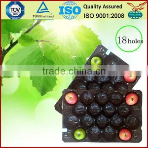 29*49cm Black Tomato Inserts Packing Tray thumbnail-6