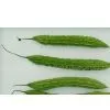 Bitter Melon Plant Extract thumbnail-1