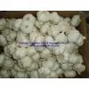 Normal White Garlic Tube Packing thumbnail-1