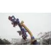Amusement Park Wheel, 24 Persons Playground Equipment Spinners Big Windmill thumbnail-1