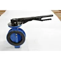AWWA C504 Butterfly Valves thumbnail-2