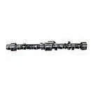 Foton Engine Parts T31415363 Camshaft , Cast Iron Cummins Camshaft thumbnail-1
