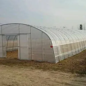 Single-/Multi-Span Plastic Film Greenhouse for Africa Vegetable Planting thumbnail-1