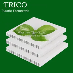 12mm 18mm 1220*2440mm Plastic Formwork thumbnail-1