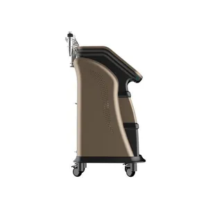 High Quality Multifunctional Stretch Marks Removal Anti-wrinkle Skin Rejuvenation rf Equipment for Clinic Use thumbnail-2
