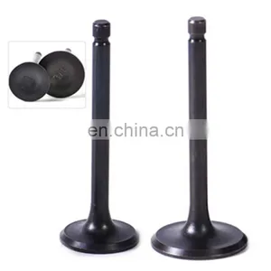 China 250cc Dirt Bike Engine Valves for Genuine Honda Splendor Plus Motorcycle Parts thumbnail-4