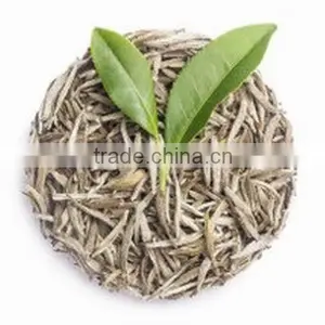 China Tasty and Healthy Loose Leaf White Tea , White Silver Needle thumbnail-3