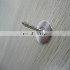 Common Steel Wire Nail From China Factory thumbnail-4