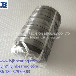 T3AR50160 Pig Fish Extruder Gearbox Tandem Roller Bearing 50 X160x167mm thumbnail-1