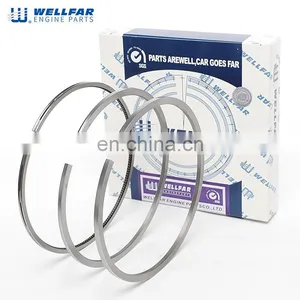 R46330 AE Wholesale DAF XF95 Engine Parts 130mm Piston Ring Set thumbnail-2