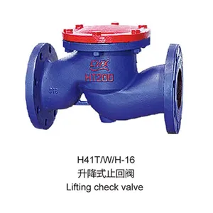 GB Swing Start Type Check Valve PN10 PN16 Grey Cast Iron HT200 Flange Metal Seal Factory Price Hot Selling Swing Check Valve thumbnail-2