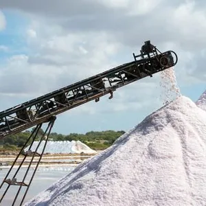 Lake Salt Processing Line Crude Salt Washing and Crushing Production Line thumbnail-2