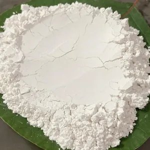 Cosmetics-grade Calcined Diatomite Paint Coating Insulation Silica Gel Used Diatomite thumbnail-2