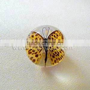 New Design Clear Plastic Christmas Sphere Ball With Real Ember Embedded for Promotional Gift thumbnail-5