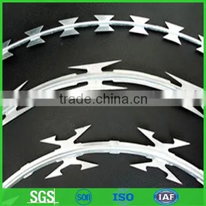 Razor Barbed Wire Fence thumbnail-1