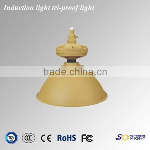 40w 50w 60w Induction Tri-proof Lights thumbnail-5