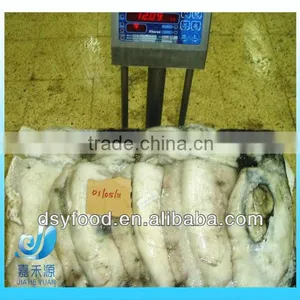 Fresh Frozen Whole Cuttlefish on Sale thumbnail-5