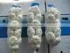 Pure White Garlic thumbnail-1