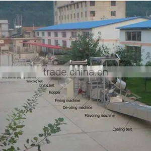 Beer Peanut Machine/fried Peanut Production Line thumbnail-3