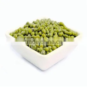 Food Grade Green Mung Beans(Heilongjiang) thumbnail-5