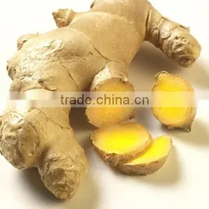 Ginger thumbnail-1