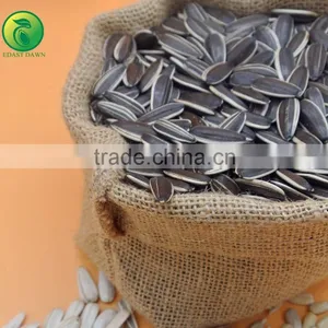 NON GMO Sunflower Seeds/Sunflower Seeds Kernel/Salted Sunflower Seeds thumbnail-3