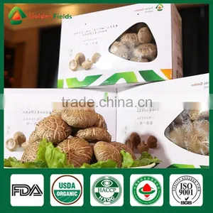 Black Chinese Mushrooms,Shitake Mushrooms Health Benefits,Growing Shitake Mushrooms thumbnail-6