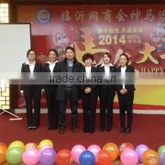 Linyi United International Trading Co., Ltd. company overview - view 1 thumbnail