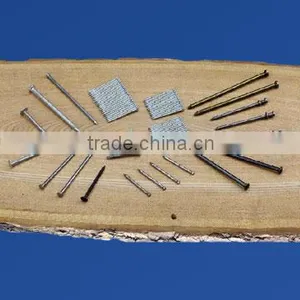 Good Quality Common Nail by Polished thumbnail-2