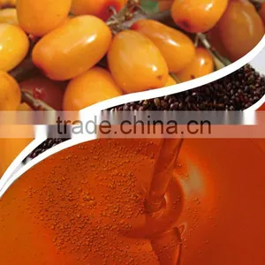 SBT Oil thumbnail-1