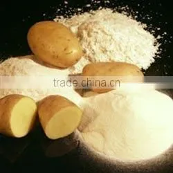 Potato Powder thumbnail-1