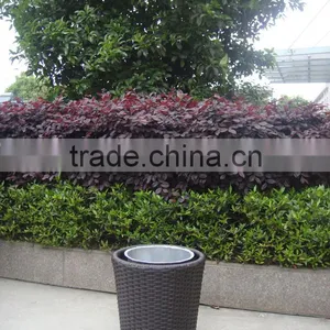 6pcs Rattan Sofa Set,packing: 62x62x117cm/pc/ctn. 1* Flower Pot, Outside Pot thumbnail-4
