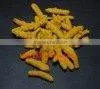 Turmeric thumbnail-1