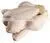 FROZEN CHICKEN thumbnail-3