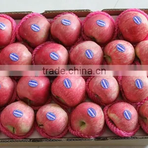 175# Fresh Fuji Apple thumbnail-6
