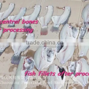 FGB-170 Automatic Stainless Steel Fish Cutting Machine,fish Fillet Machine thumbnail-6