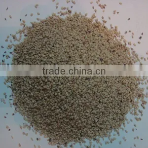 Sesame Seeds thumbnail-1