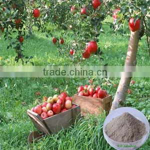 High Organic Nitrogen Pure Amino Acid Powder For Garlic Plant thumbnail-3