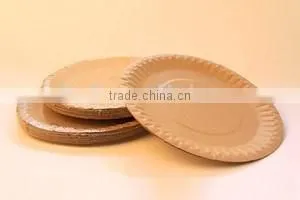 Prined Paper Plate thumbnail-1