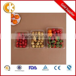 Clear Plastic Disposable Pet Salad and Food Container thumbnail-1