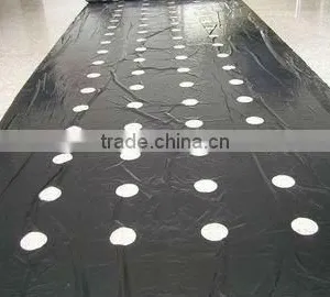 Agriculture Mulch Film With Hole thumbnail-1
