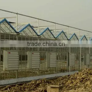 Commercial Greenhouse for Agriculture thumbnail-4