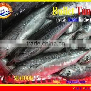 FROZEN W/R BULLET TUNA thumbnail-1