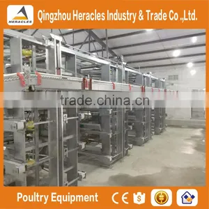 High Quality Chicken Farm Automatic Layer Poultry Equipment Chicken Cage for Sale thumbnail-4